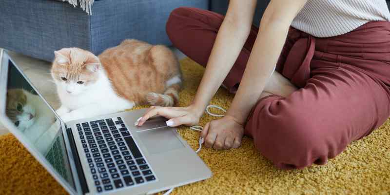 Find roles that recognise your expertise